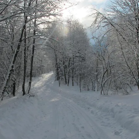 Haus Mangeng Appartement