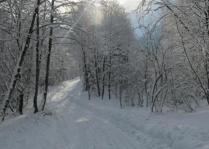 Haus Mangeng Apartment